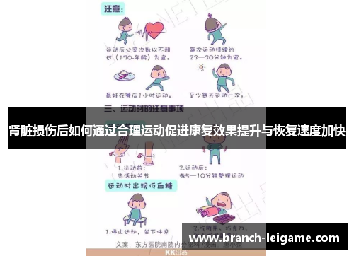 肾脏损伤后如何通过合理运动促进康复效果提升与恢复速度加快