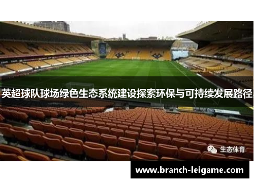 英超球队球场绿色生态系统建设探索环保与可持续发展路径