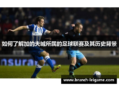 如何了解加的夫城所属的足球联赛及其历史背景