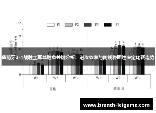 葡萄牙3-1战胜土耳其胜负关键分析：进攻效率与防线稳固性决定比赛走势