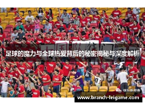 足球的魔力与全球热爱背后的秘密揭秘与深度解析