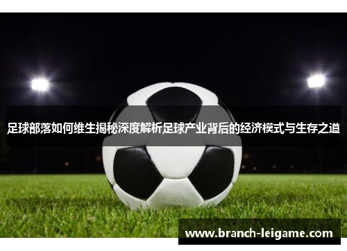 足球部落如何维生揭秘深度解析足球产业背后的经济模式与生存之道
