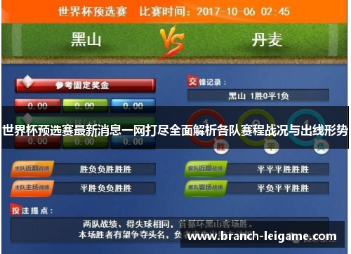 世界杯预选赛最新消息一网打尽全面解析各队赛程战况与出线形势
