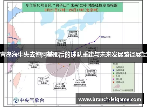 青岛海牛失去博阿基耶后的球队重建与未来发展路径展望 青岛海牛失去博阿基耶后的球队重建与未来发展路径展望
