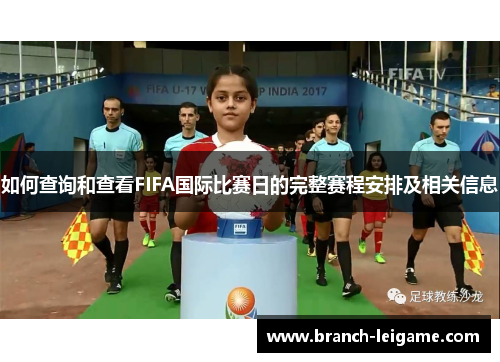 如何查询和查看FIFA国际比赛日的完整赛程安排及相关信息