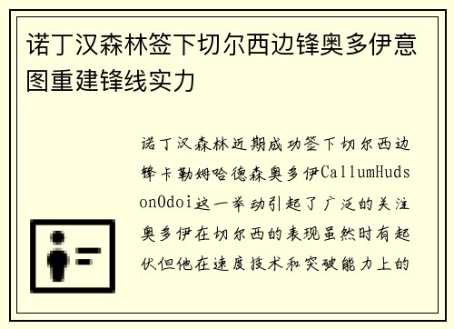 诺丁汉森林签下切尔西边锋奥多伊意图重建锋线实力 诺丁汉森林签下切尔西边锋奥多伊意图重建锋线实力